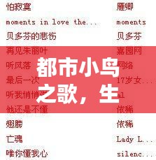 都市小鸟之歌，生活的启示与百度下的智慧记录