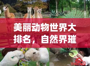 美丽动物世界大排名，自然界璀璨明珠惊艳亮相！