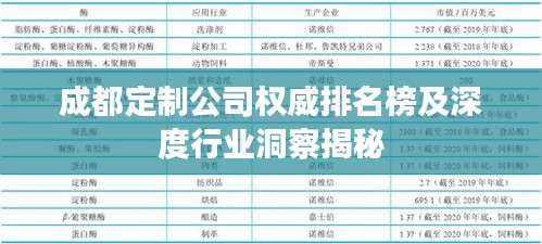 成都定制公司权威排名榜及深度行业洞察揭秘