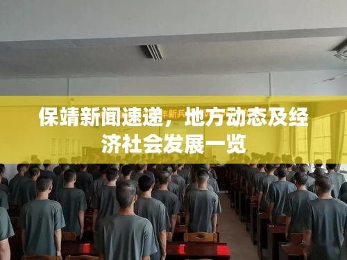 保靖新闻速递，地方动态及经济社会发展一览