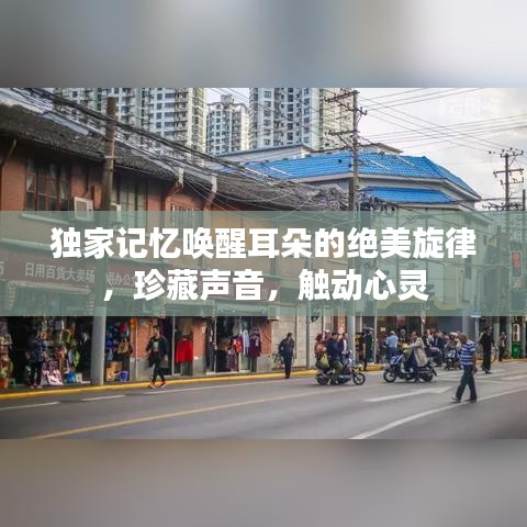 独家记忆唤醒耳朵的绝美旋律，珍藏声音，触动心灵