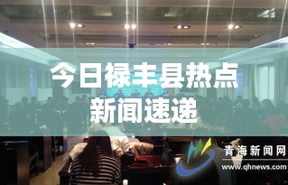 今日禄丰县热点新闻速递
