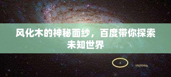 风化木的神秘面纱，百度带你探索未知世界