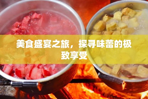 美食盛宴之旅，探寻味蕾的极致享受