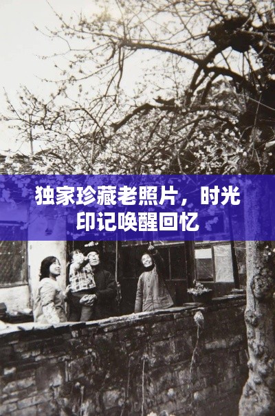 独家珍藏老照片，时光印记唤醒回忆