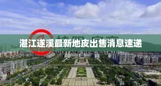 2025年5月28日 第2页