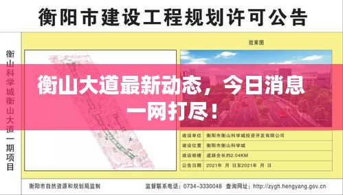 衡山大道最新动态，今日消息一网打尽！