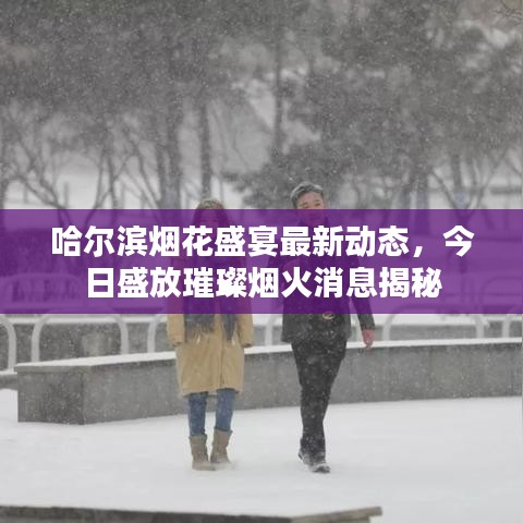 哈尔滨烟花盛宴最新动态，今日盛放璀璨烟火消息揭秘