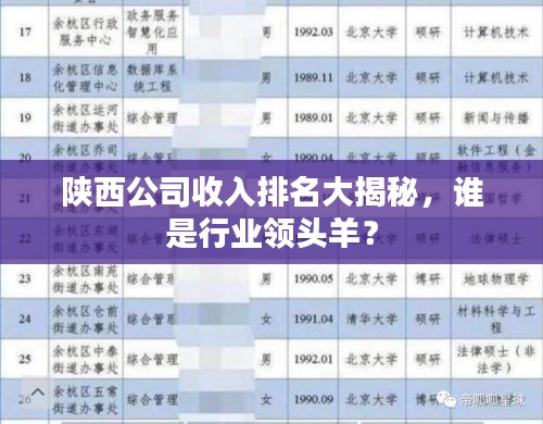 陕西公司收入排名大揭秘，谁是行业领头羊？