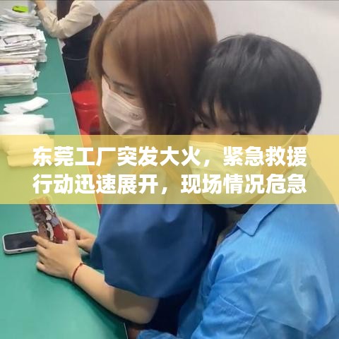 东莞工厂突发大火，紧急救援行动迅速展开，现场情况危急！