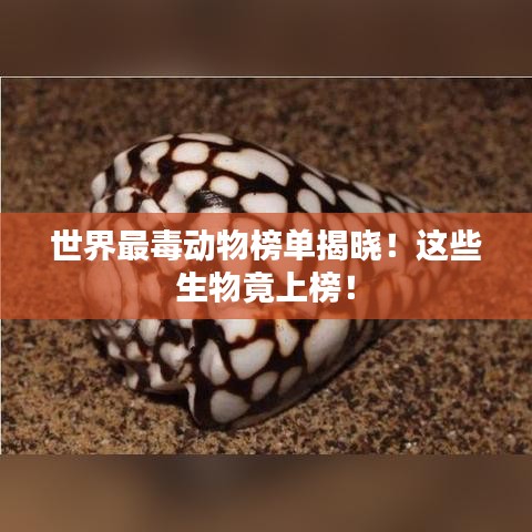 世界最毒动物榜单揭晓！这些生物竟上榜！