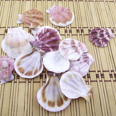 熊经鸟伸