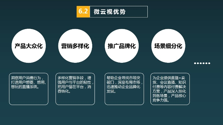 微云 历史版本,完善的执行机制分析-X版_v10.666