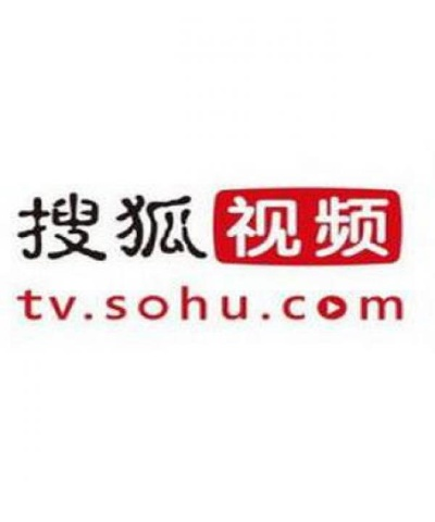 搜狐影音播放器官方下载,收益说明解析_Holo_v5.571