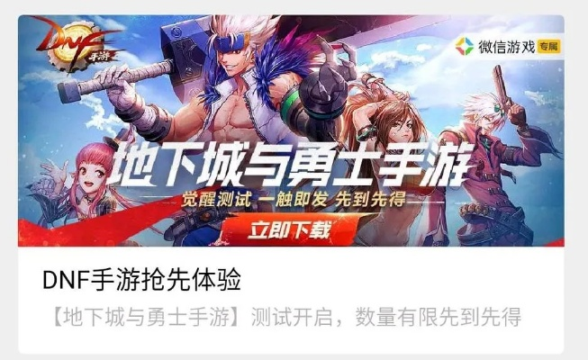 dnf官方手游下载,适用解析计划方案-专家版_v2.215