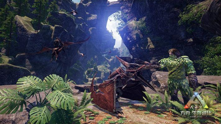 方舟版本,安全解析策略&HDR_v6.390