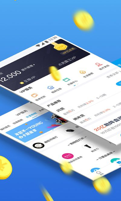 闪银老版本,安全性计划解析 尊贵版_v6.296