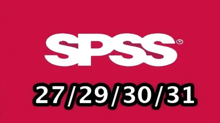 spss26.0激活码和斗牛单机版内购破解版,高效策略实施|PalmOS1_v5.980