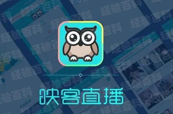 映客直播手游与英语有声单词官方下载,专家意见解释定义-至尊版_v1.637