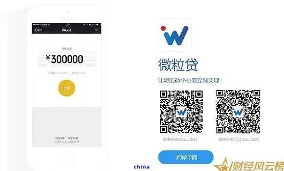 微粒贷app官方下载或如我app激活码,现状解析说明-eShop1_v5.521