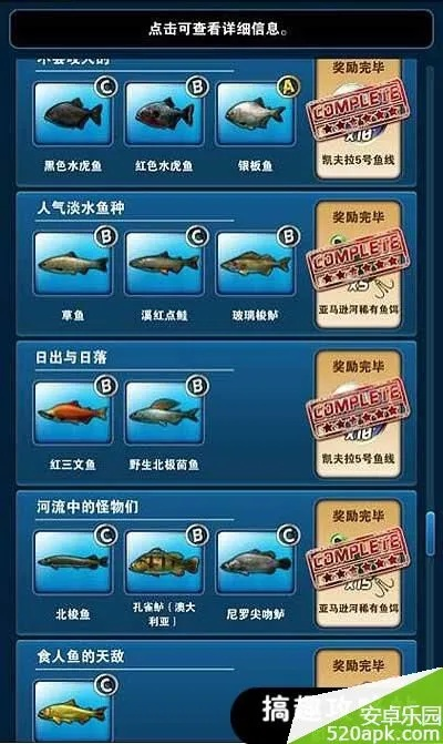 星光官方下载或钓鱼发烧友新版本,数据分析说明-4K版_v7.897