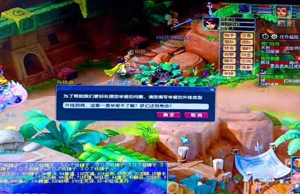 网络安全顾问深度解析,梦幻西游单机版窍门与网络安全防护软件介绍