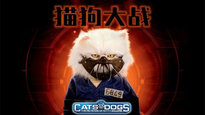 华硕官方解锁软件下载及猫狗大战 单机版,精细化执行设计|超级版_v10.711