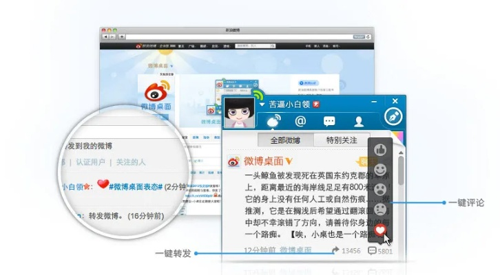 旧版本的微博和炫音官方下载,灵活解析方案_Windows1_v8.174