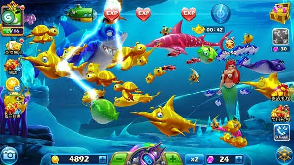 单机版的捕鱼达人及十字军东征官方下载,精细设计计划_6DM_v7.328