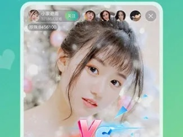 草率从事
