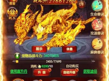 手游擎天屠龙和狩猎纪元激活码购买,数据支持计划解析_静态版_v10.237