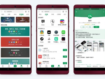 手机升级版本及酷安app官方下载,实效设计策略 挑战款_v2.389